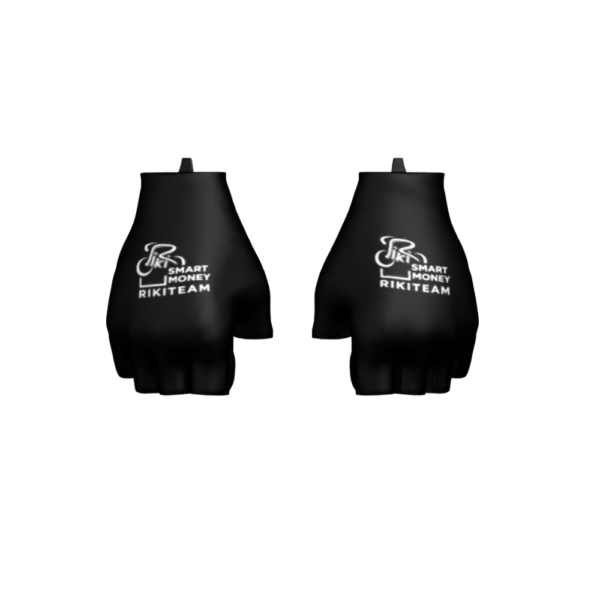 Rokavice (MITTS GLOVES HAWK 2.0) - UNISEX